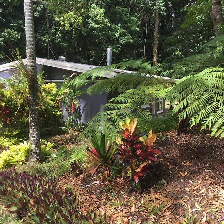 Honeybee House Kuranda Exterior foto