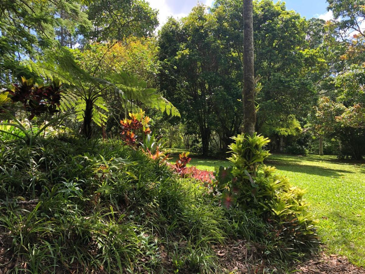 Honeybee House Kuranda Exterior foto