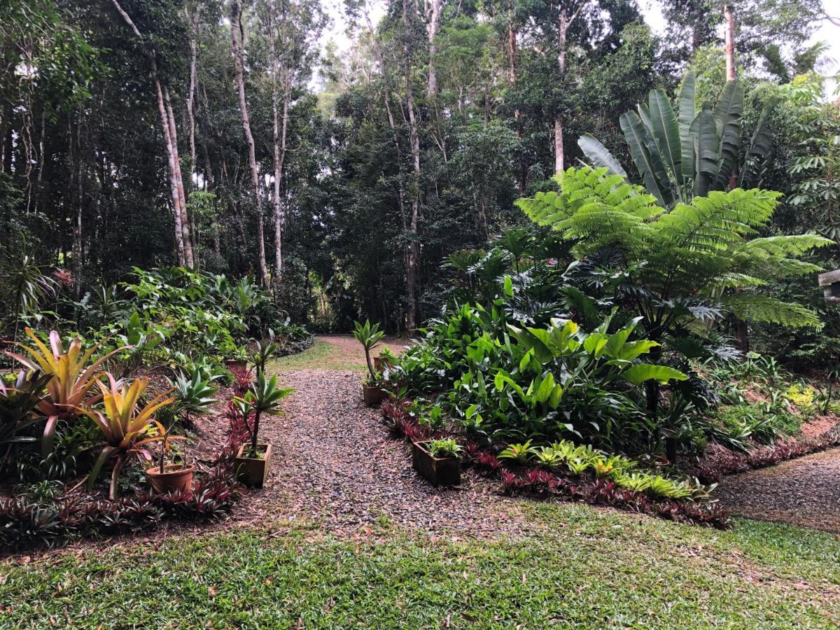 Honeybee House Kuranda Exterior foto