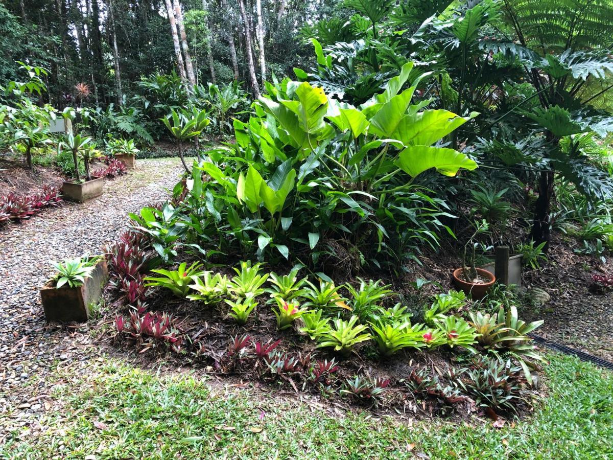 Honeybee House Kuranda Exterior foto