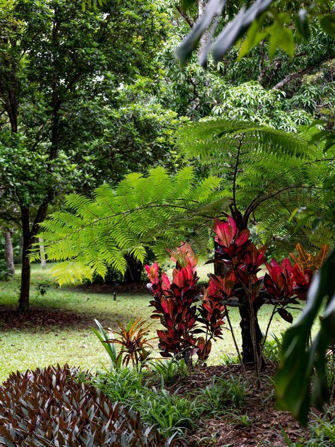Honeybee House Kuranda Exterior foto